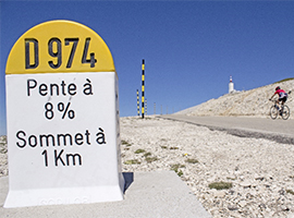 Meijer-Group Ventoux against Cancer